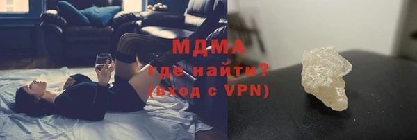 хмурый Аркадак