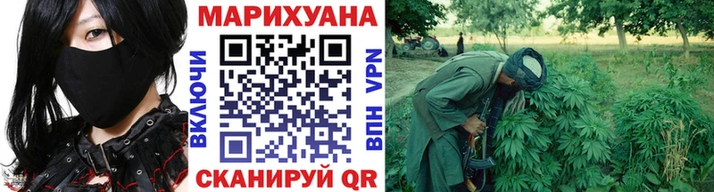 Марихуана OG Kush  хочу   мега зеркало  Сенгилей 
