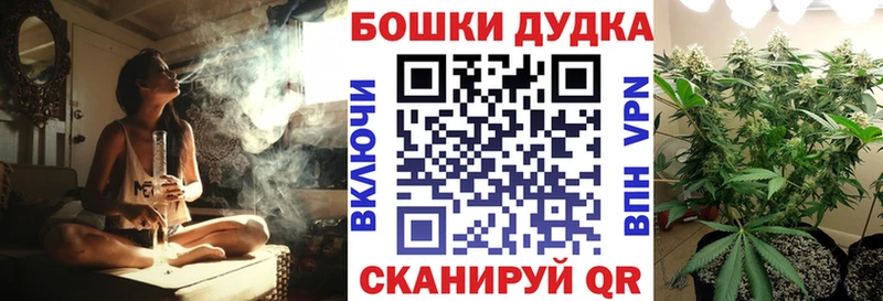 Шишки марихуана гибрид Сенгилей